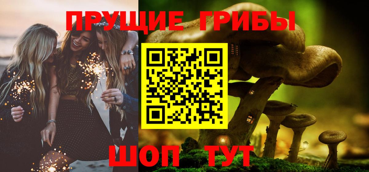 Псилоцибиновые грибы прущие грибы Берёзовский
